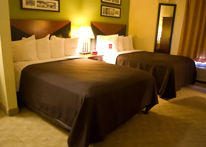 Americinn By Wyndham Champaign Area 2* Urbana