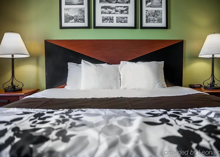 Americinn By Wyndham Champaign Area Hotel
